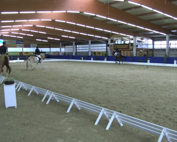 Reitturnier Isterberg 2019