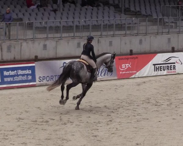 Reitturnier Westergellersen 2021