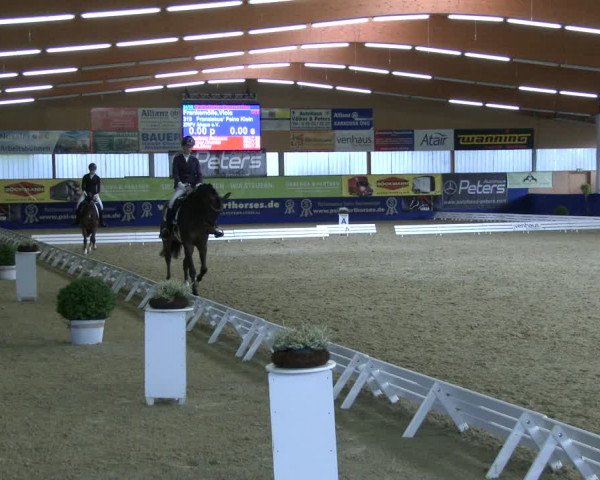 Reitturnier Isterberg 2019