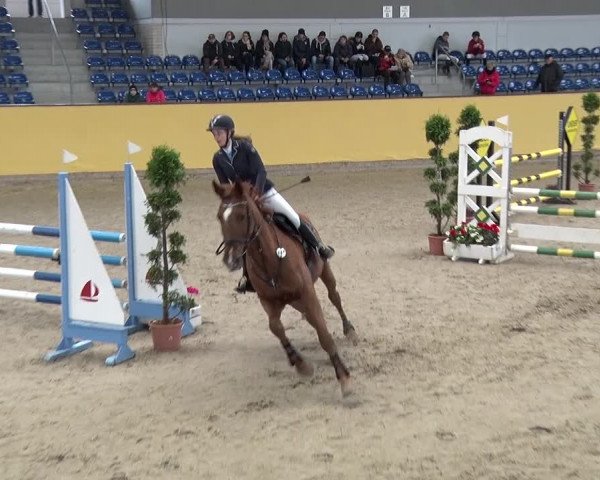 Reitturnier Prussendorf 2019