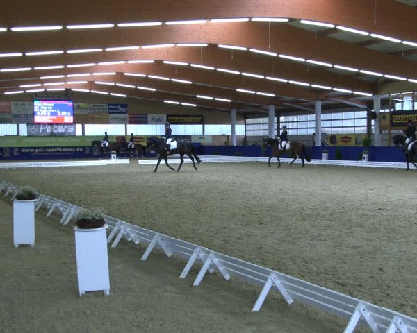 Reitturnier Isterberg 2019