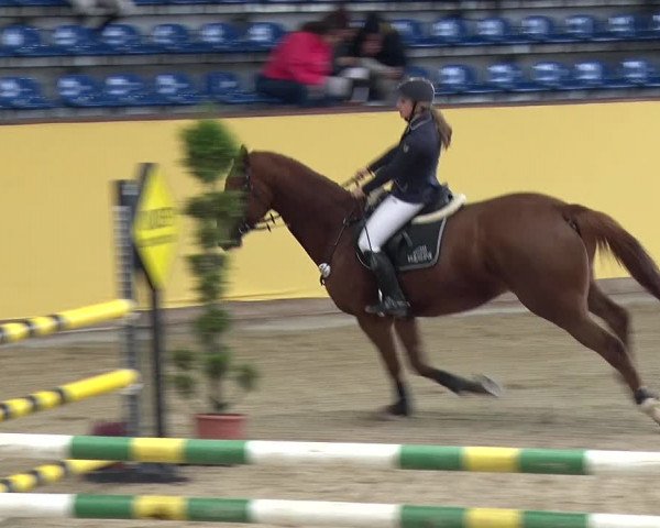 Reitturnier Prussendorf 2019