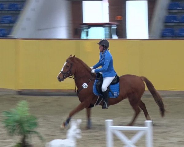 Reitturnier Prussendorf 2019