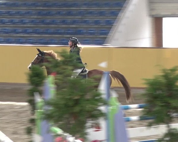 Reitturnier Prussendorf 2019