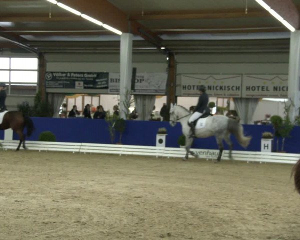 Reitturnier Isterberg 2019