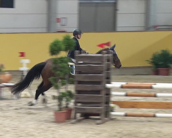 Reitturnier Prussendorf 2019