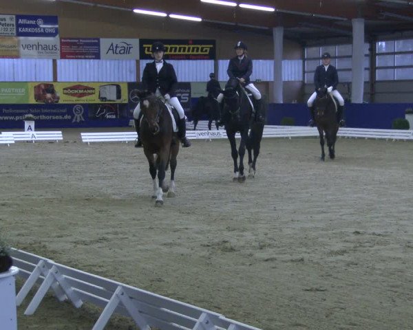 Reitturnier Isterberg 2019
