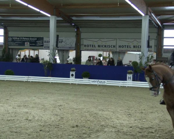 Reitturnier Isterberg 2019