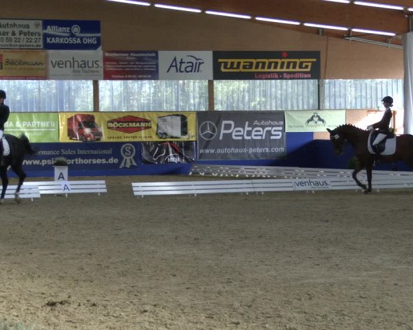 Reitturnier Isterberg 2019
