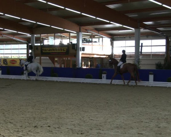 Reitturnier Isterberg 2019