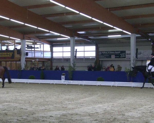 Reitturnier Isterberg 2019