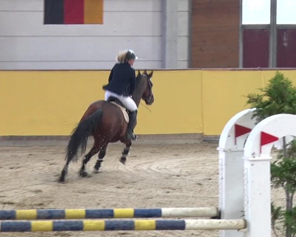 Reitturnier Prussendorf 2019