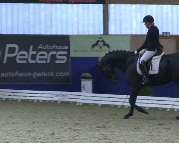Reitturnier Isterberg 2019