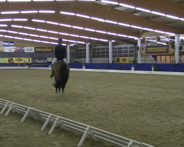 Reitturnier Isterberg 2019