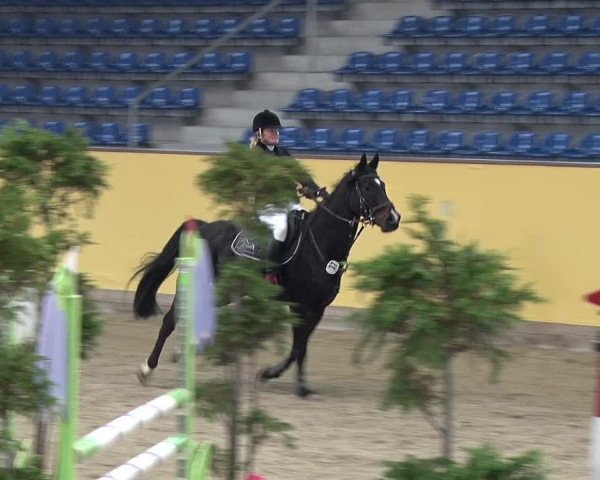Reitturnier Prussendorf 2019