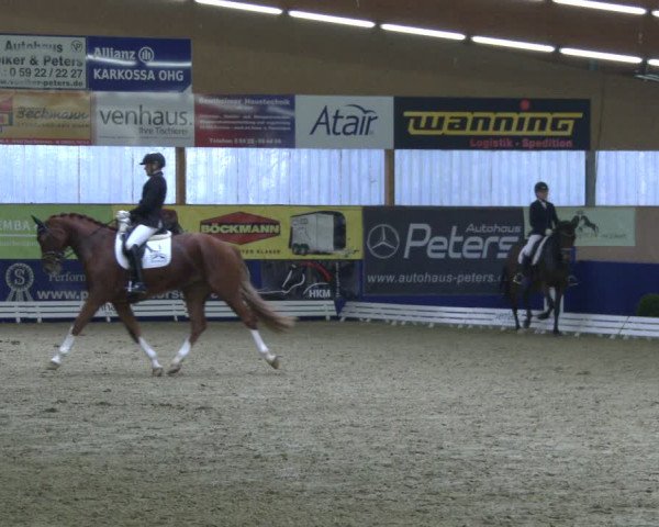 Reitturnier Isterberg 2019