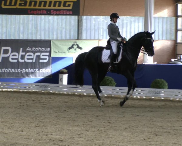 Reitturnier Isterberg 2019