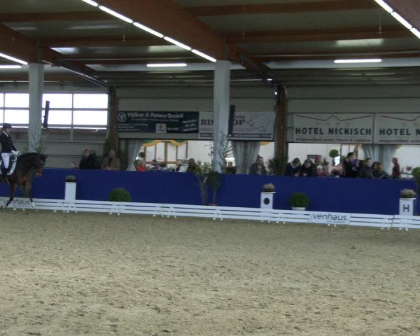 Reitturnier Isterberg 2019