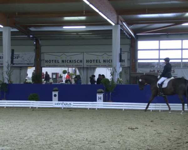 Reitturnier Isterberg 2019