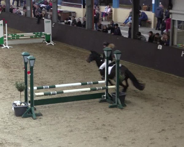 Reitturnier Legden 2019