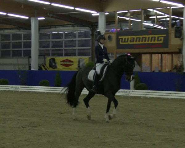 Reitturnier Isterberg 2019