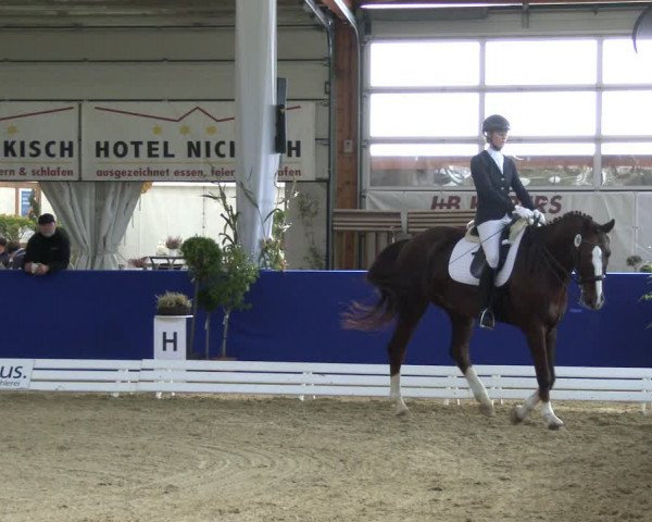 Reitturnier Isterberg 2019