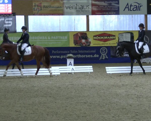 Reitturnier Isterberg 2019
