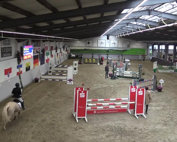 Reitturnier Legden 2019