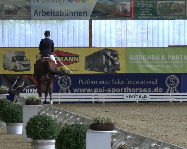Reitturnier Isterberg 2019