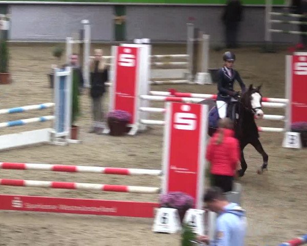 Reitturnier Legden 2019