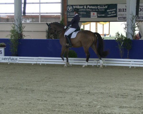 Reitturnier Isterberg 2019