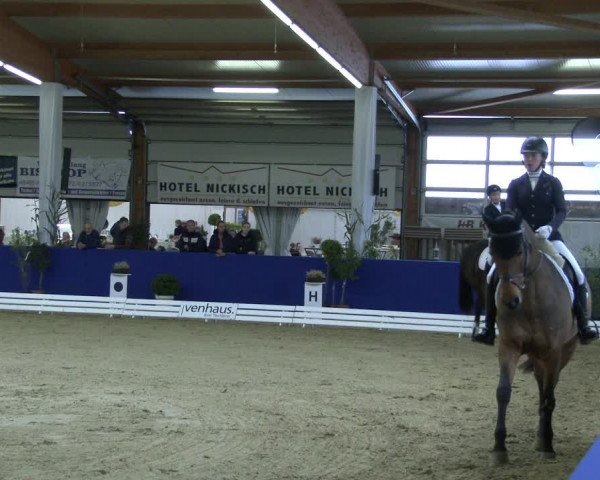Reitturnier Isterberg 2019