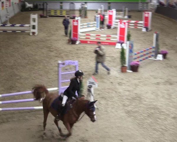 Reitturnier Legden 2019
