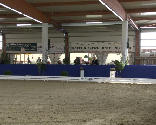 Reitturnier Isterberg 2019