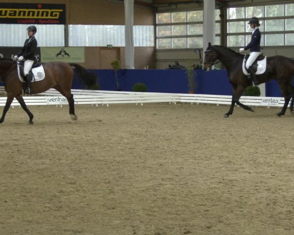 Reitturnier Isterberg 2019