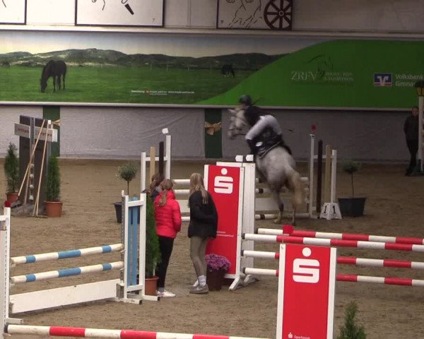 Reitturnier Legden 2019
