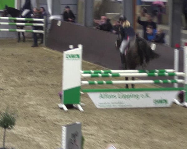 Reitturnier Legden 2019