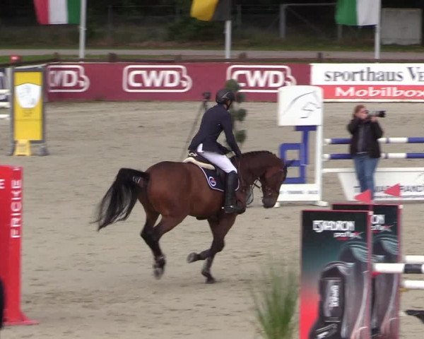 Reitturnier Westergellersen 2021