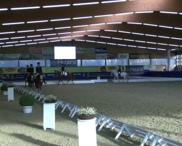 Reitturnier Isterberg 2019