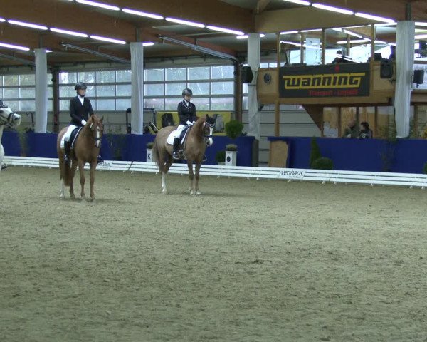 Reitturnier Isterberg 2019