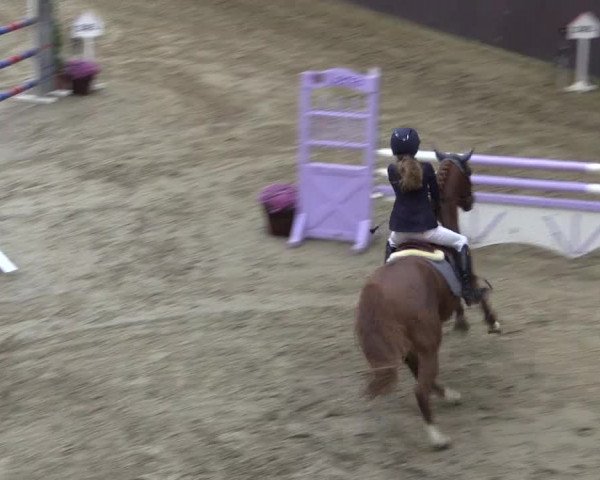 Reitturnier Legden 2019