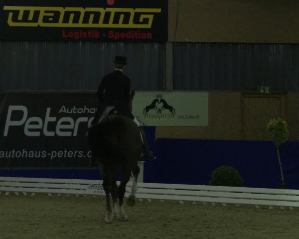 Reitturnier Isterberg 2019