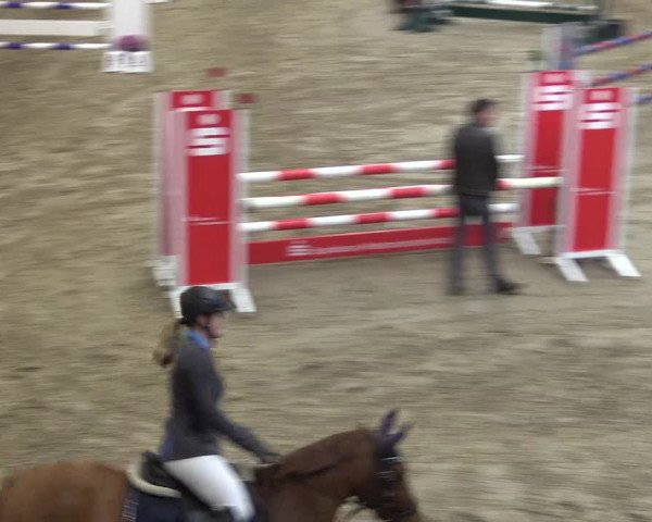 Reitturnier Legden 2019