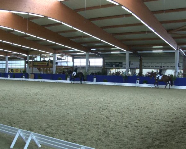 Reitturnier Isterberg 2019