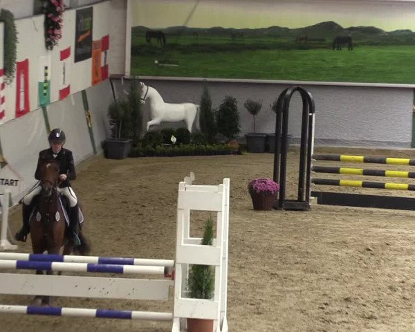Reitturnier Legden 2019
