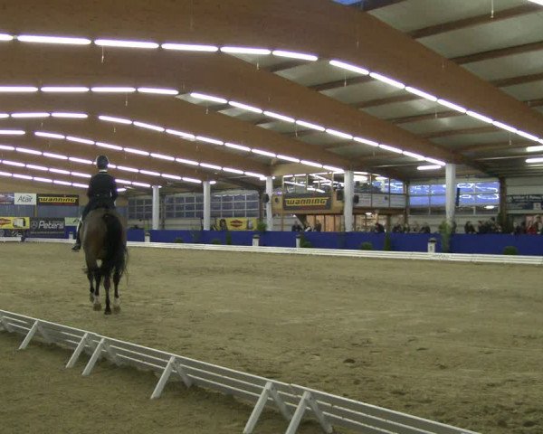 Reitturnier Isterberg 2019