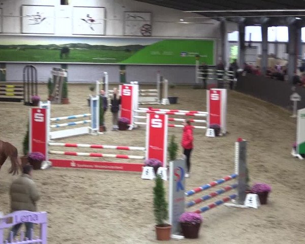 Reitturnier Legden 2019