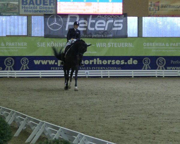 Reitturnier Isterberg 2019