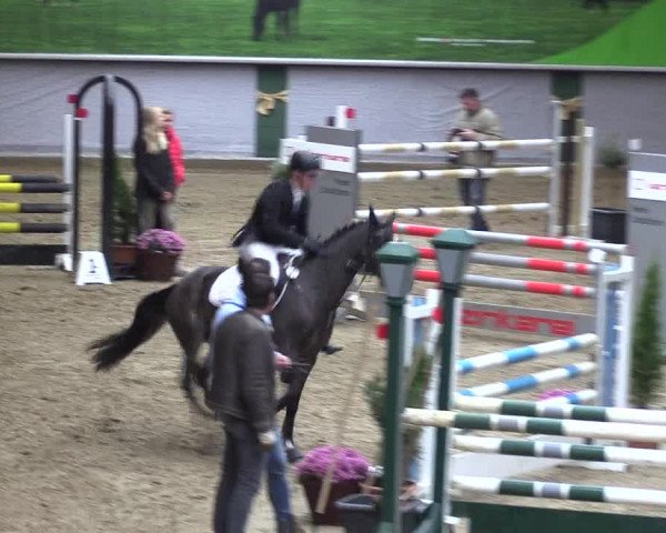 Reitturnier Legden 2019