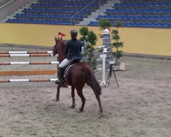 Reitturnier Prussendorf 2019